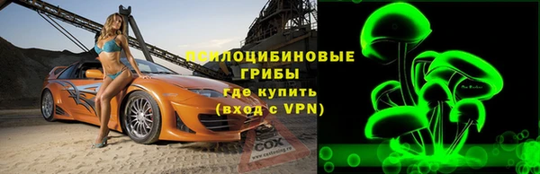гидра Алексеевка