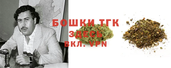 PSILOCYBIN Нязепетровск