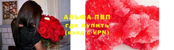прущие грибы Алексин