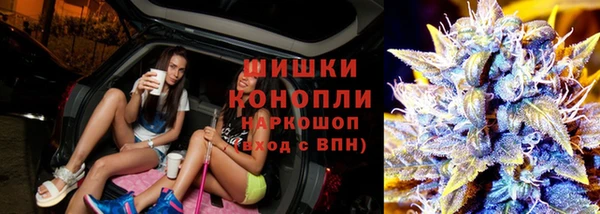 дмт Алзамай