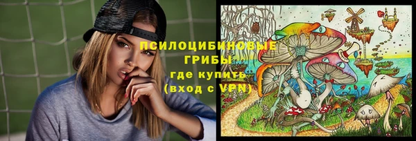 прущие грибы Алексин