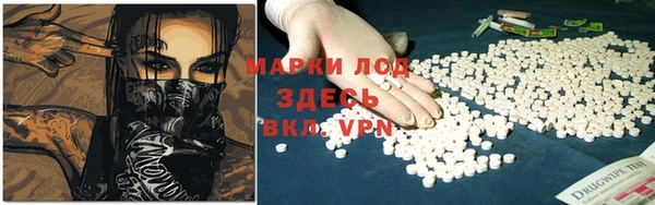 дмт Алзамай