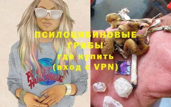 дмт Алзамай