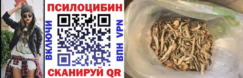 Галлюциногенные грибы Psilocybine cubensis  Чебоксары 