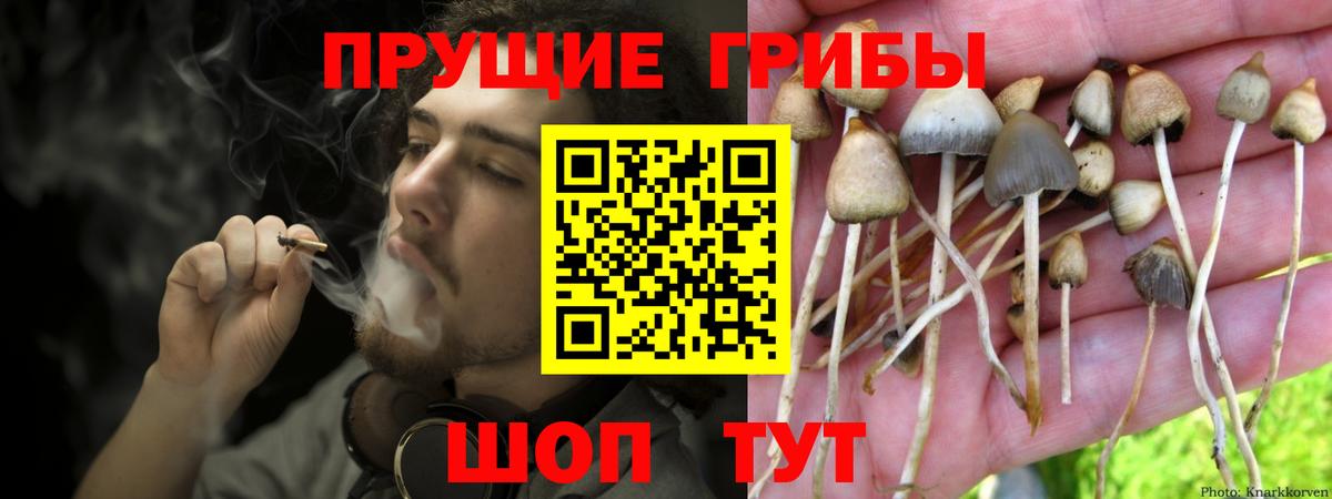Псилоцибиновые грибы прущие грибы Чебоксары